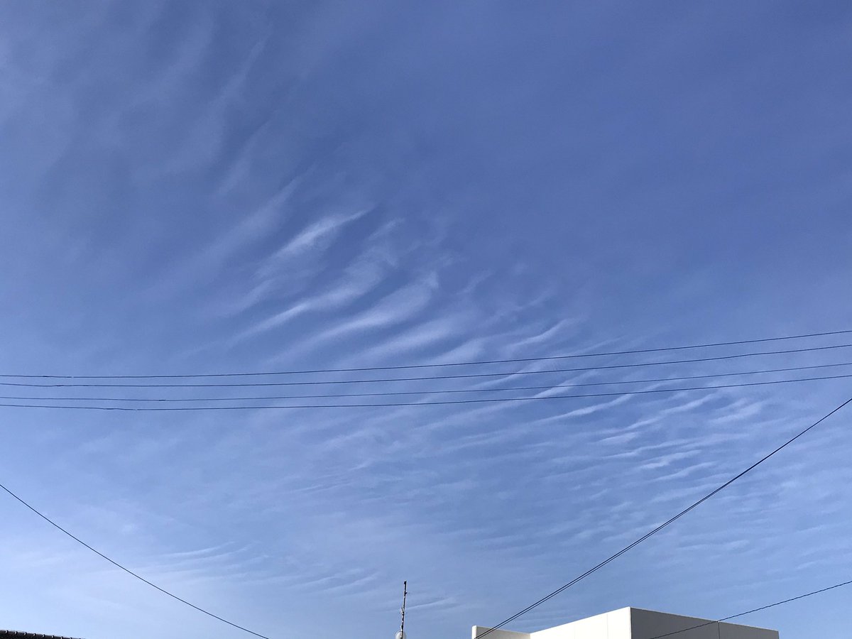 秋晴れの今日は連休最終日
お休みはあっという間です。

おはようございます♪
今日も穏やかな1日を