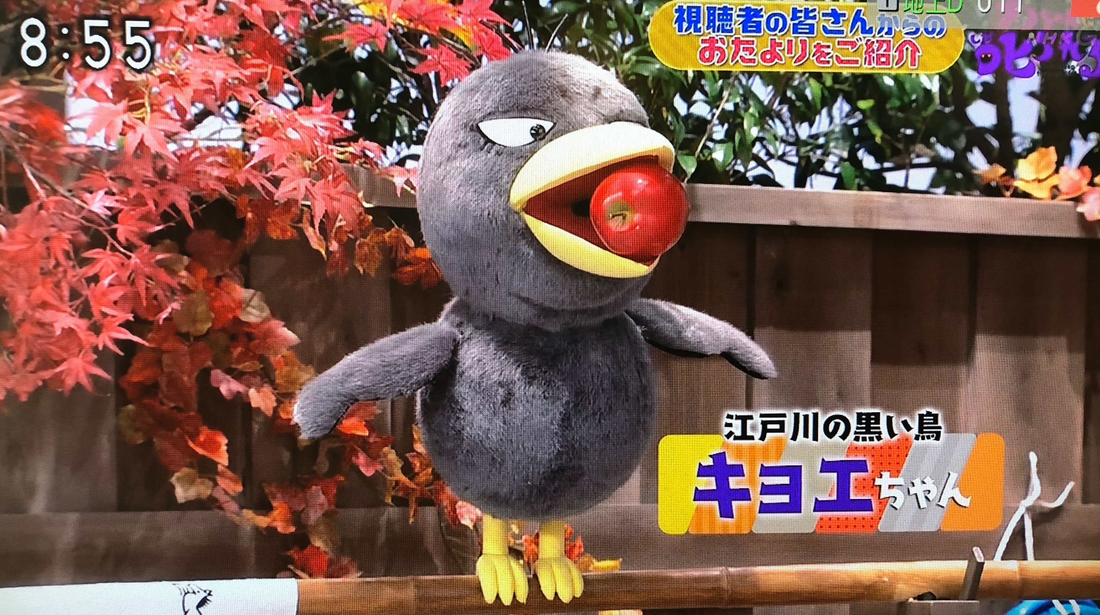 まこと らぶうね キョエちゃんって本当に カラス くちばしが黄色いカラスって 見たことないんだけど チコちゃんに叱られる T Co Knpymj3kvg Twitter