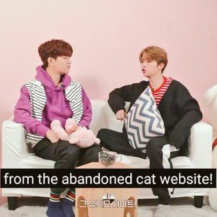 Minho adopted his cat Dori from an abandoned cats website. (Another one of his cats, Soonie, he adopted when he was 12 from an animal hospital he was volunteering at)