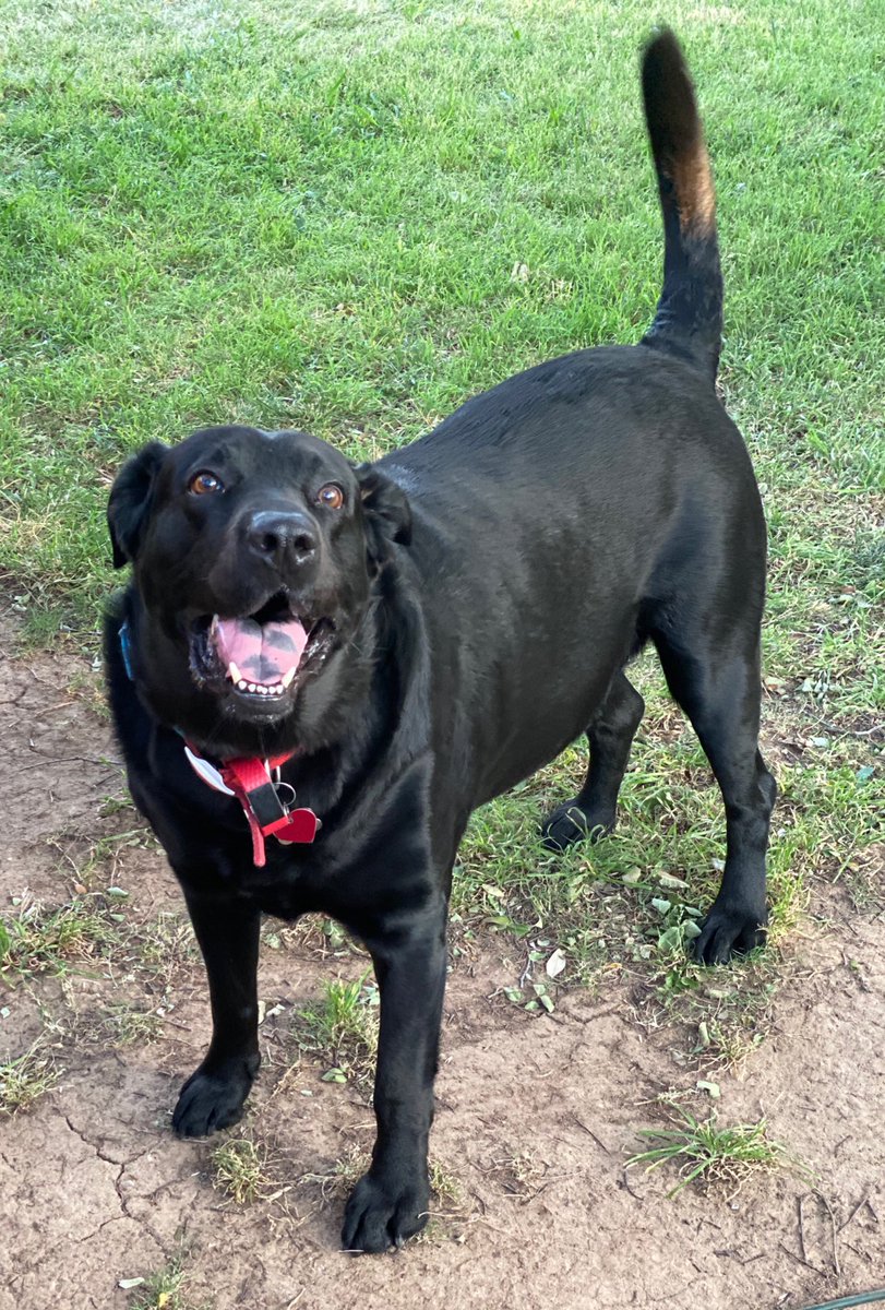 Random pet appreciation day...1st day of fall; 9/22