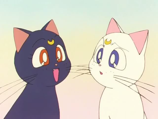 luna and artemis and candy and pop are the same people. one is introduced in the beginning and one comes in later in the series and they are very close and basically the guides of the whole group.