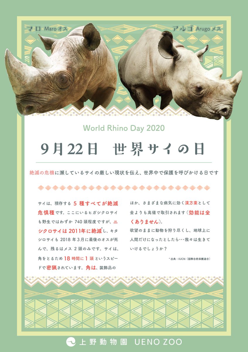 サイは現存する種すべてが絶滅の危機に瀕しており、我々ヒトによる密猟