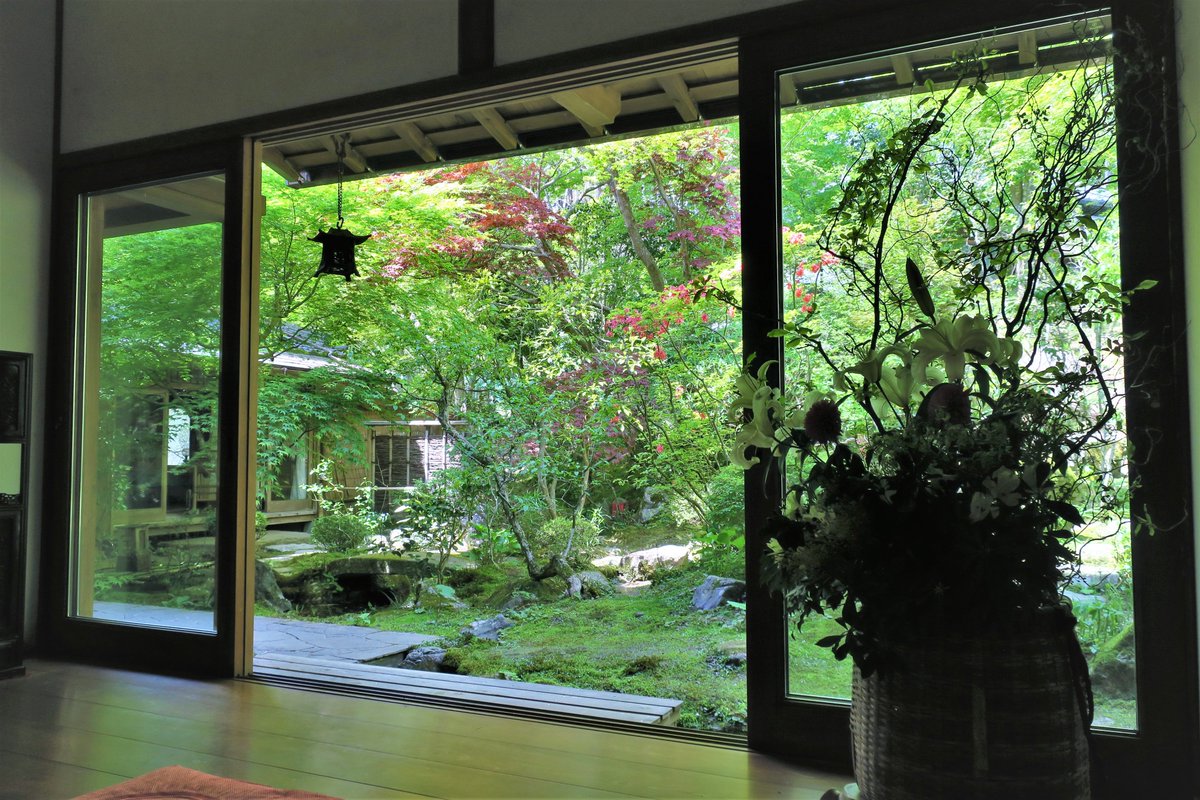 Tokyonobo's tweet image. When I was organizing the photos I took in Kyoto Ohara, which I visited last year, I found some unpublished photos. Hosen-in #宝泉院  was founded about 800 years ago. The zen garden is about 300 years old, but the large pine tree on the south side is much older: 700 years.