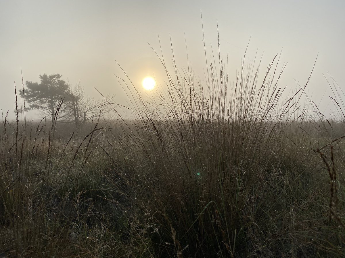 Goedemorgen vanaf het ASK