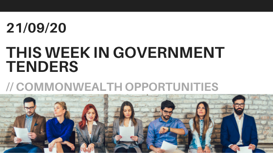Eng_business's tweet photo. This week in #Government Tenders: @EmploymentGovAU is  implementing a New Employment Services Model in 2022 featuring a licensing system for employment services providers. 
https://t.co/k5jf5VKB3i
#governmentcontracting #tenders #tendering #employmentopportunities https://t.co/5qG213jGEs