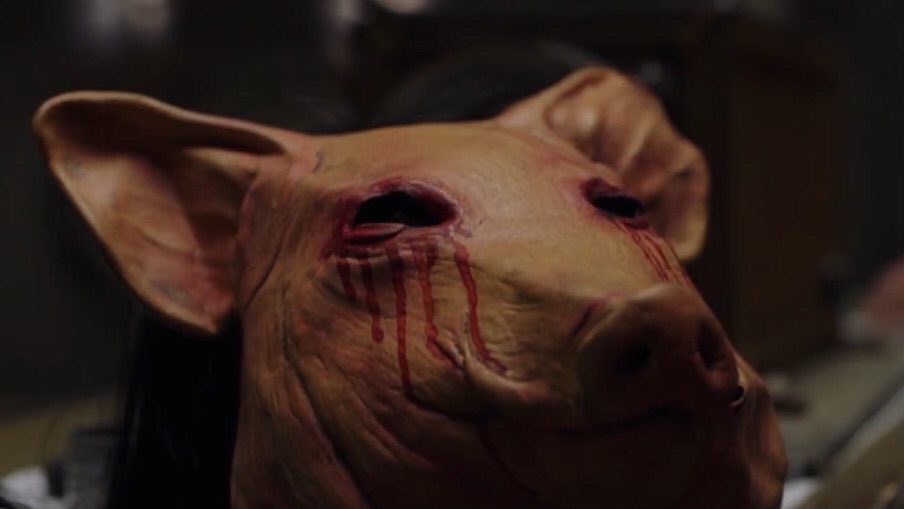 SawHouse2004's tweet photo. “Did you know that pigs are highly compassionate animals? They show distress if they see any other animal, including humans, suffering.” https://t.co/VGZVeHM6l9
