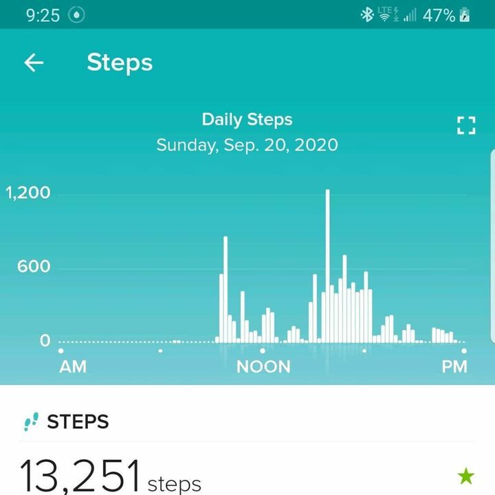 InThePink411's tweet photo. 6 weeks post (2nd) hip replacement surgery, a busy day and Plexus Active for energy, paid off in major steps !!
#InThePink411 #weightlossjourney #healthylifestyle #HealthyEnergy #plexusactive #hipreplacement https://t.co/xp9OFacbTJ