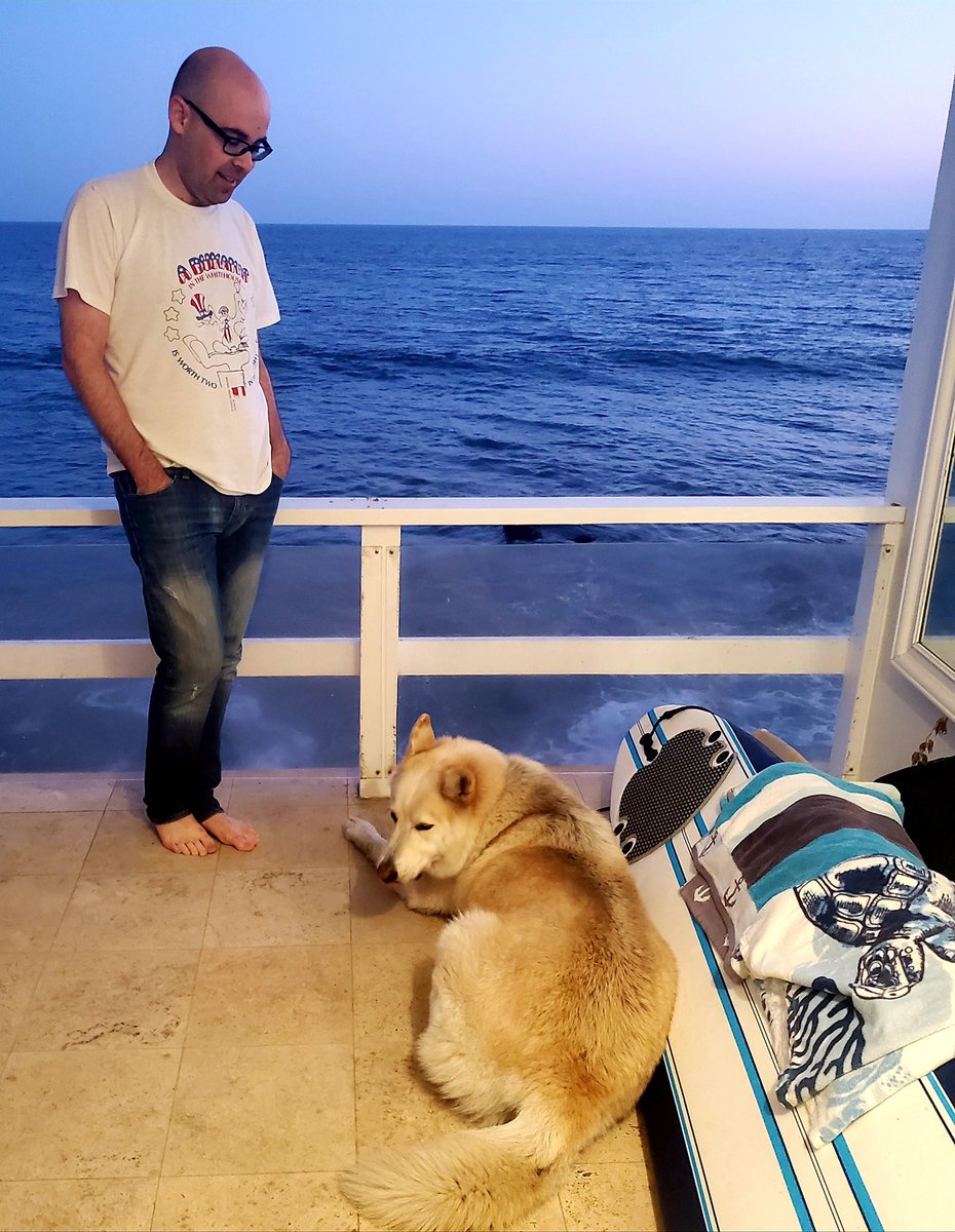 AntiToxicPeople's tweet image. Your narrator at home with a 107 lb wolf hybrid who is the sweetest, gentlest animal you can imagine.