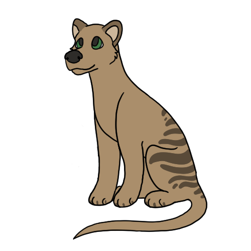 mattyena's tweet photo. This #xatw is the Thylacine, aka the Tasmanian Tiger! This species is a recent extinction, with the last thylacine dying in 1936. But what exactly is a thylacine? https://t.co/X625Z0trVv