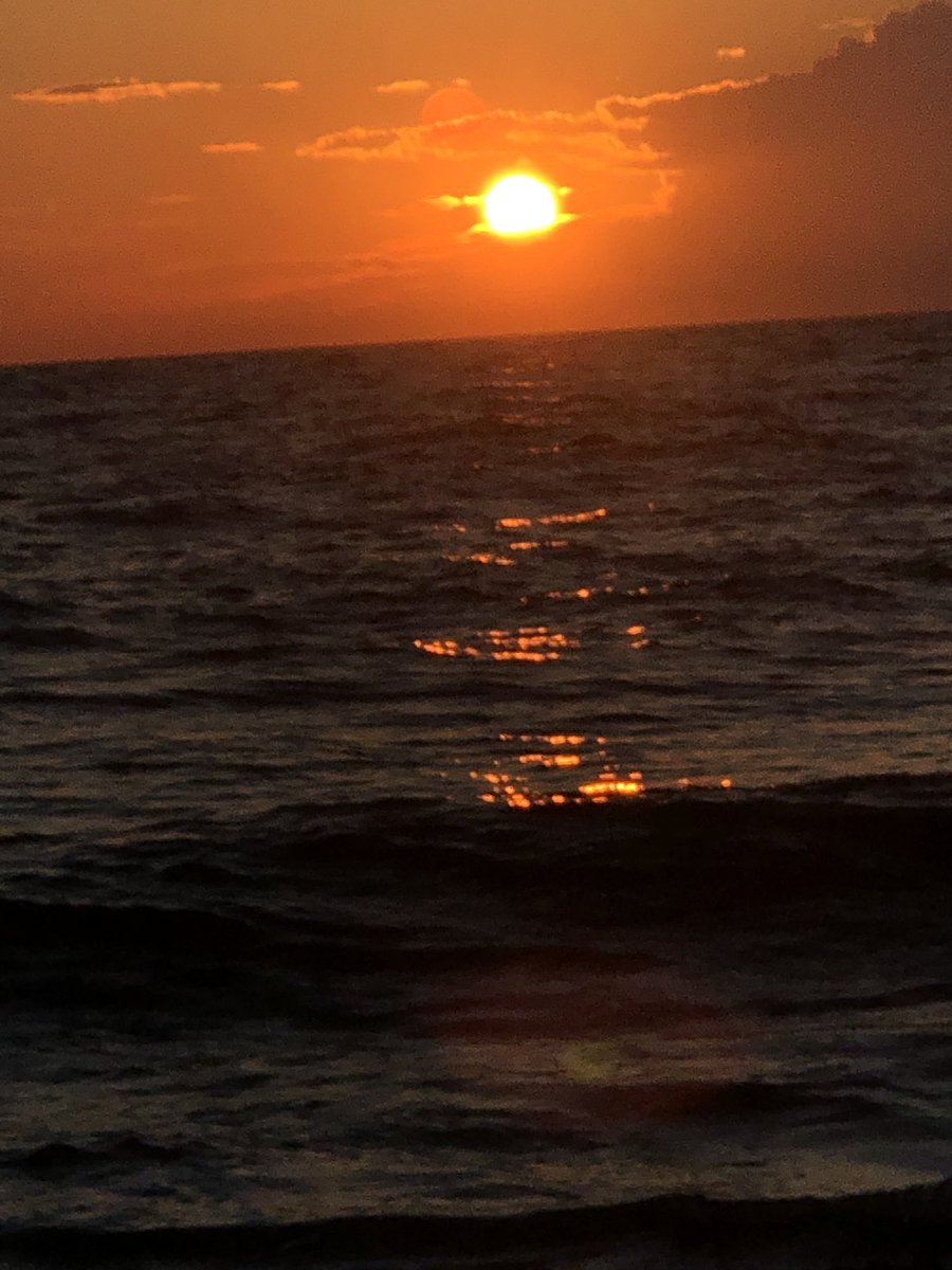 Miss Beverly ☀️🙏✨🐝 tweet media