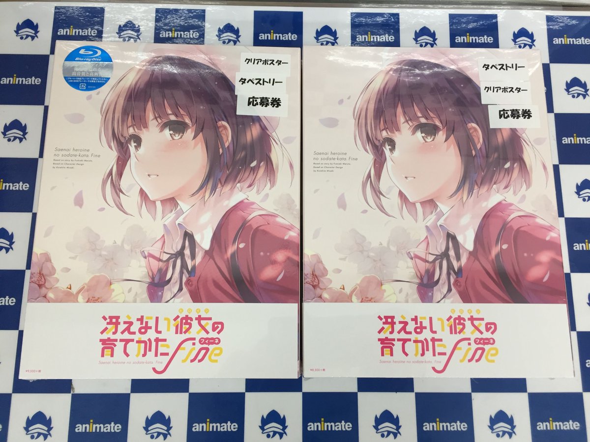 アニメイト旭川 ビジュアル入荷情報 Dvd 劇場版 冴えない彼女の育てかた Fine 完全生産限定版 本日入荷しましたアサ アニメイト特典 はアニメ描き下ろしb2タペストリーですアサ 冴えカノ