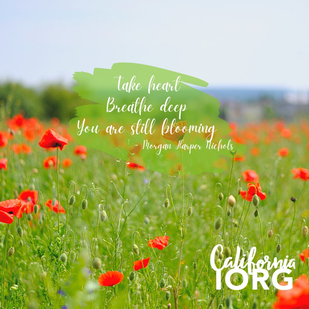 CARainbowGirls's tweet photo. In times of success and certainty, or challenges and uncertainty, breathe deep and take heart. Remember that you have only begun your life’s journey, and you are still learning, still blooming.
#MotivationalMonday #CAIORG #MorganHarperNichols #TakeHeart #WhyIRainbow https://t.co/Pqdwr290cv