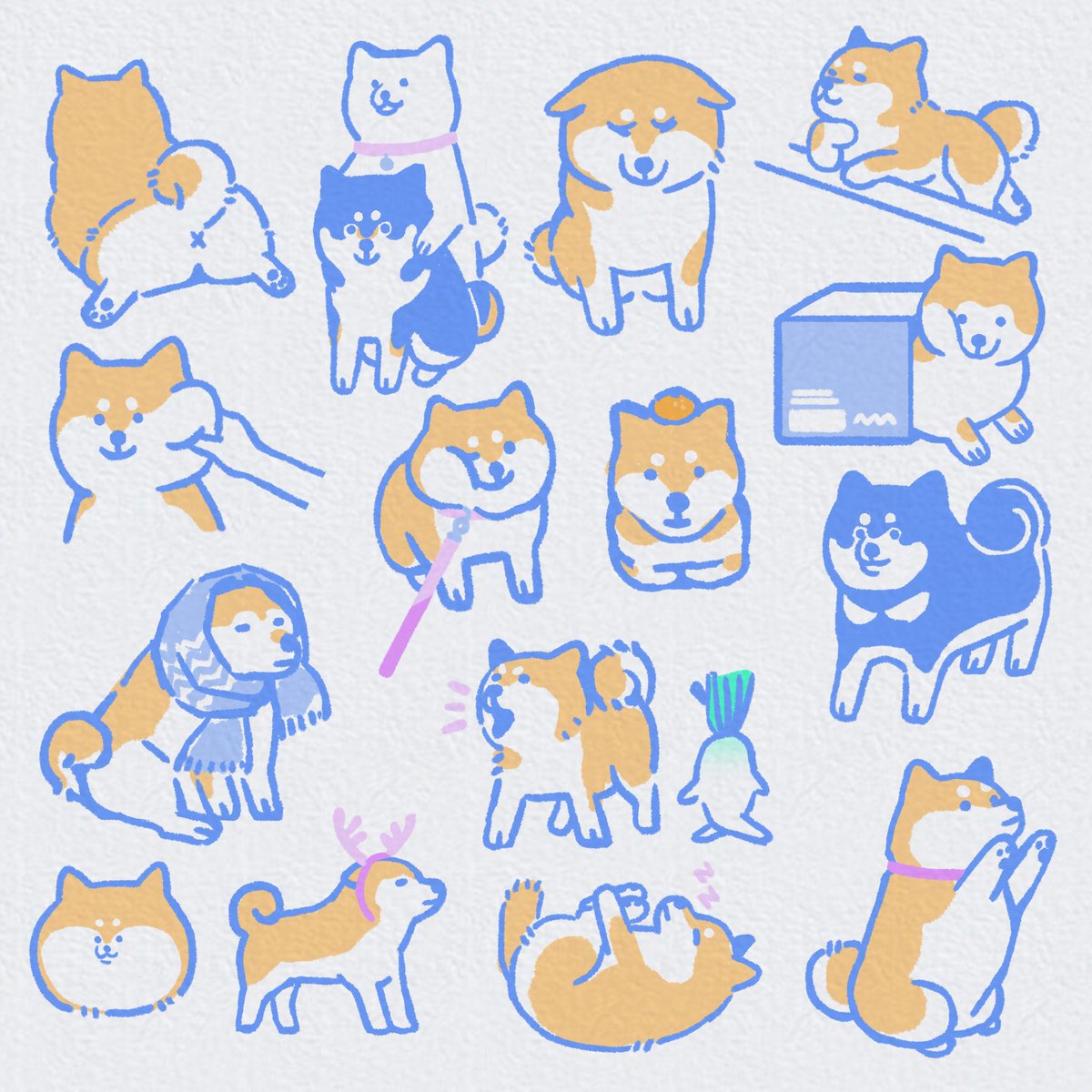 lilpupper's tweet image. Shibbers