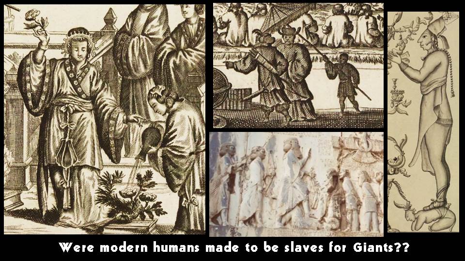 They 'took' O blood type humans, (Aborigines, tribes, the original human 'beast' of ALL RACES, ACCORDING TO THEIR KINDS) and made them servants in their star fort cities. Rebellion broke out, and we were reset with covert control by deception.