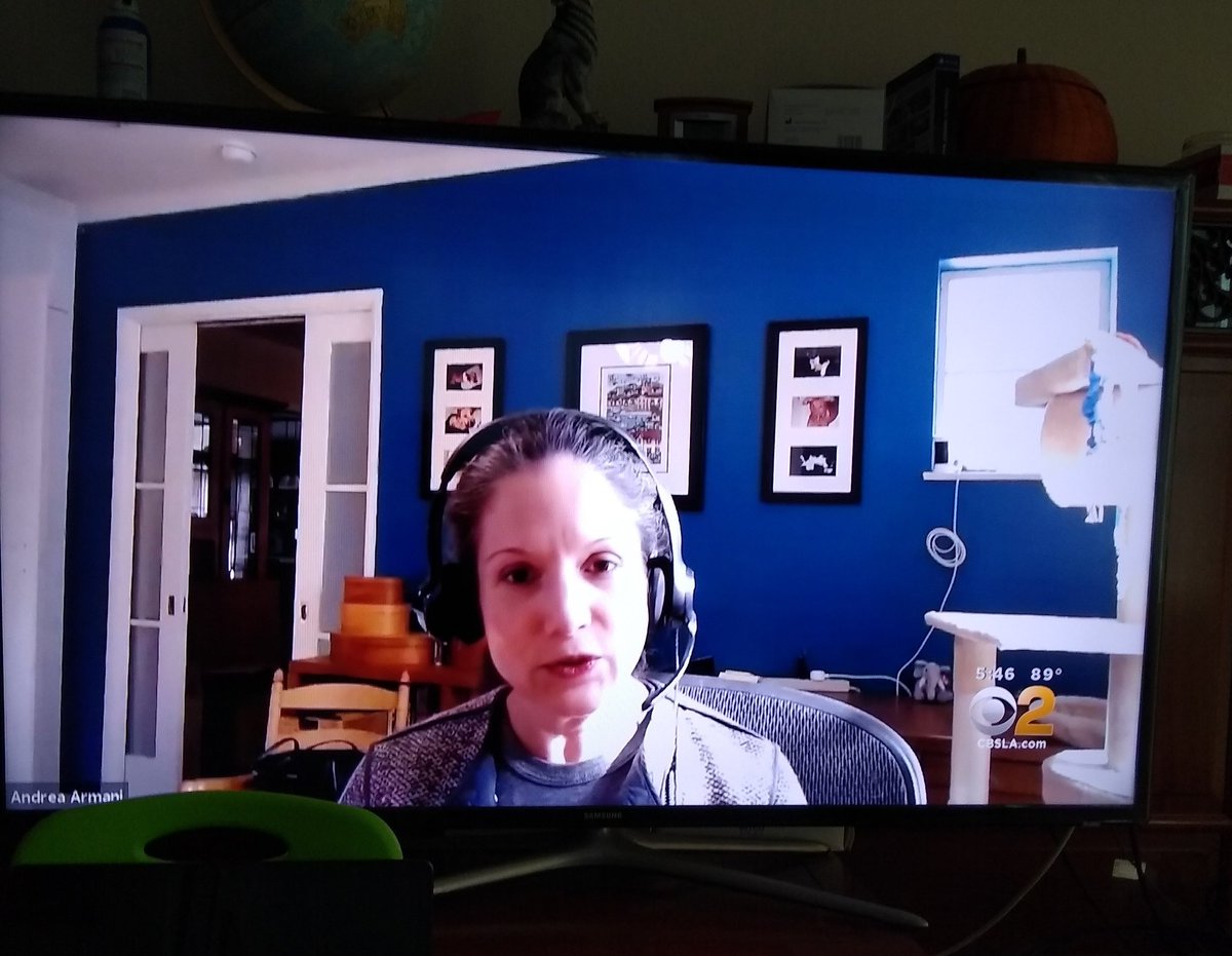 JincaiC's tweet photo. @ProfArmani @CNN @rachelmetz @gather_town I snapped a screenshot when CBS aired your another interview. https://t.co/B3LmlYL08B