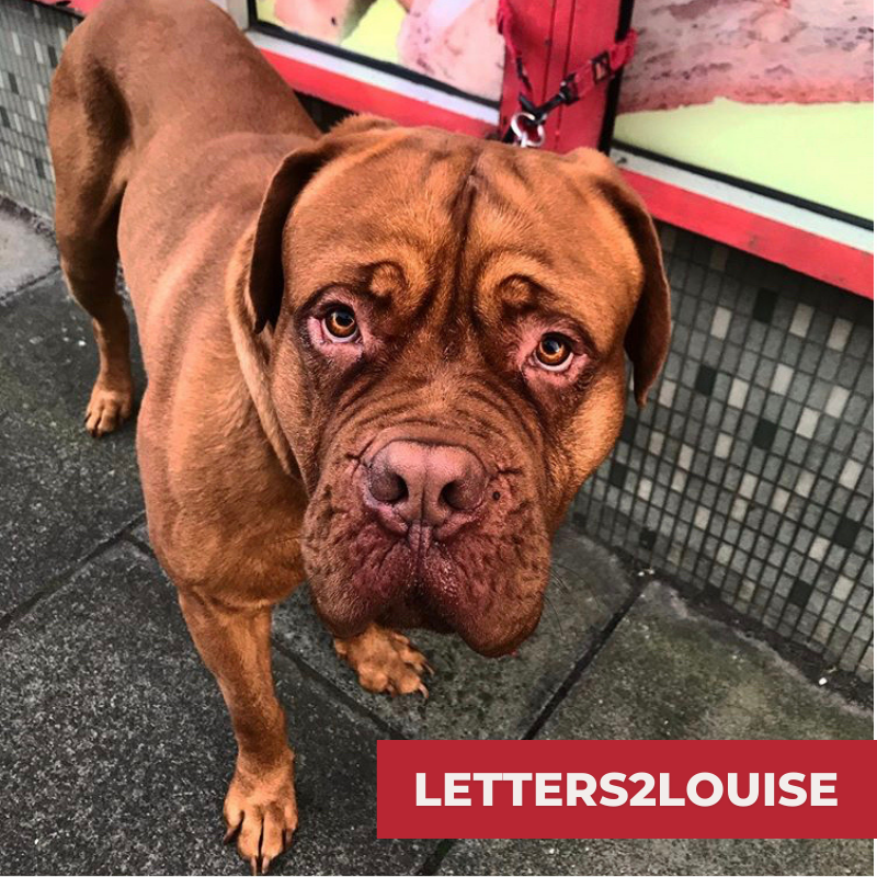 NAMI UP NORTH tweet media