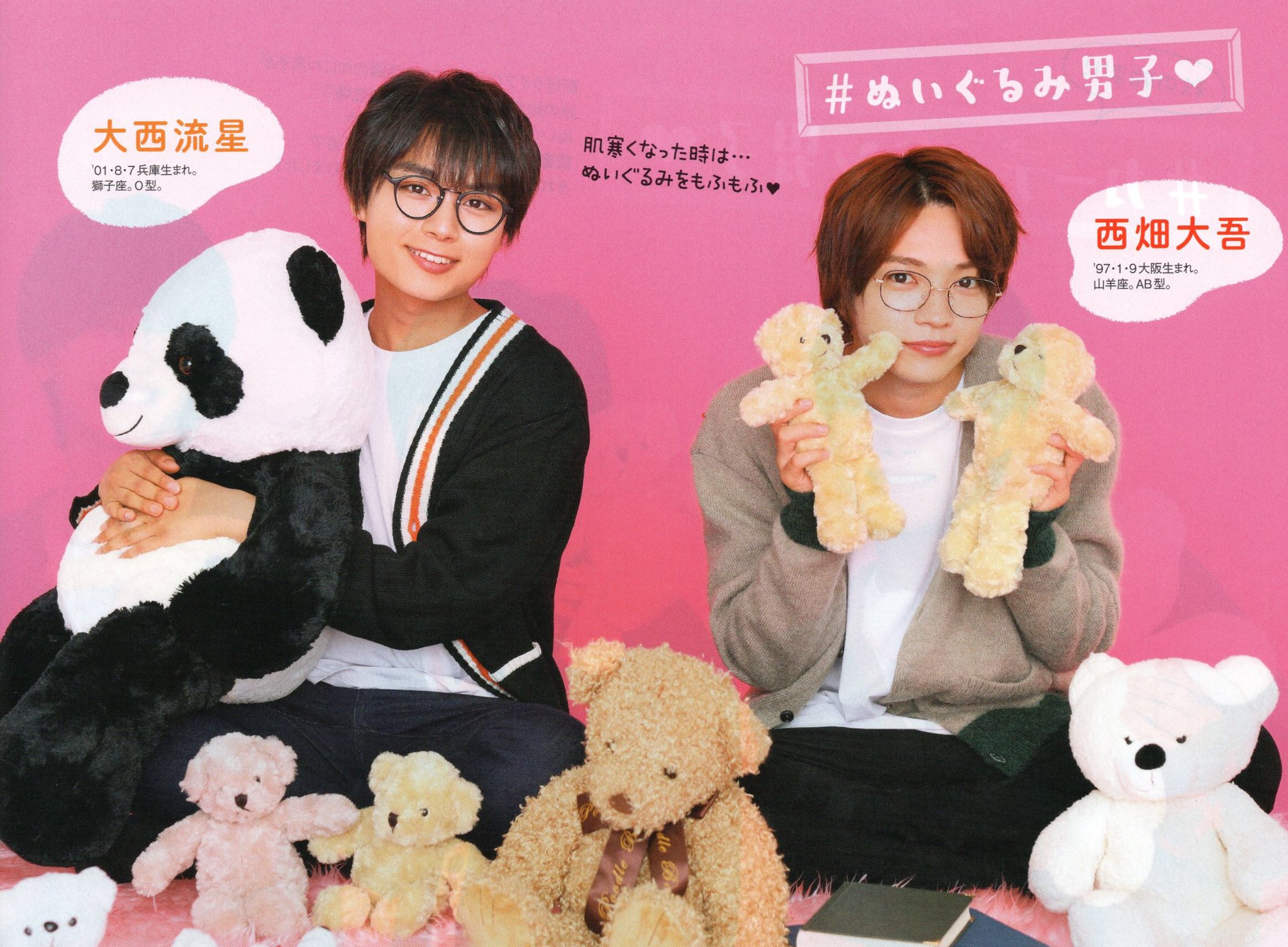 希少！値下げ中！Johnny's Jr. ぬいぐるみ セット　西畑大吾　大西流星 びび on X: 