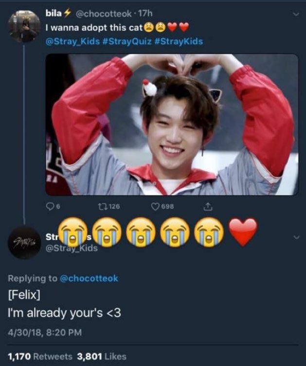 Felix responding to Stays as just the sweetest boy