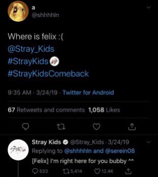 Felix responding to Stays as just the sweetest boy