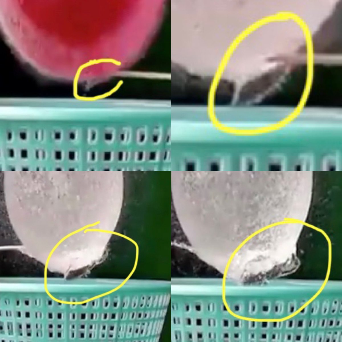 6/ Next cool thing. Look at where the pointy stick pierces the balloon. The ballon instantly pulls away, so now the stick is splashing into pure water. What does the water do? It makes a beautiful crown-shaped splash! So gorgeous! For comparison...