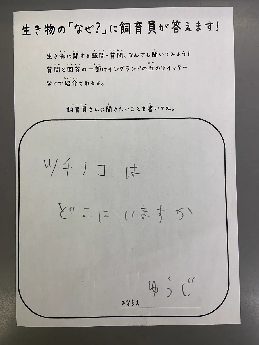 ツチノコは飼育していないけど、ツチノコっぽいトカゲならいるよ！飼育員さんの優しさあふれる回答