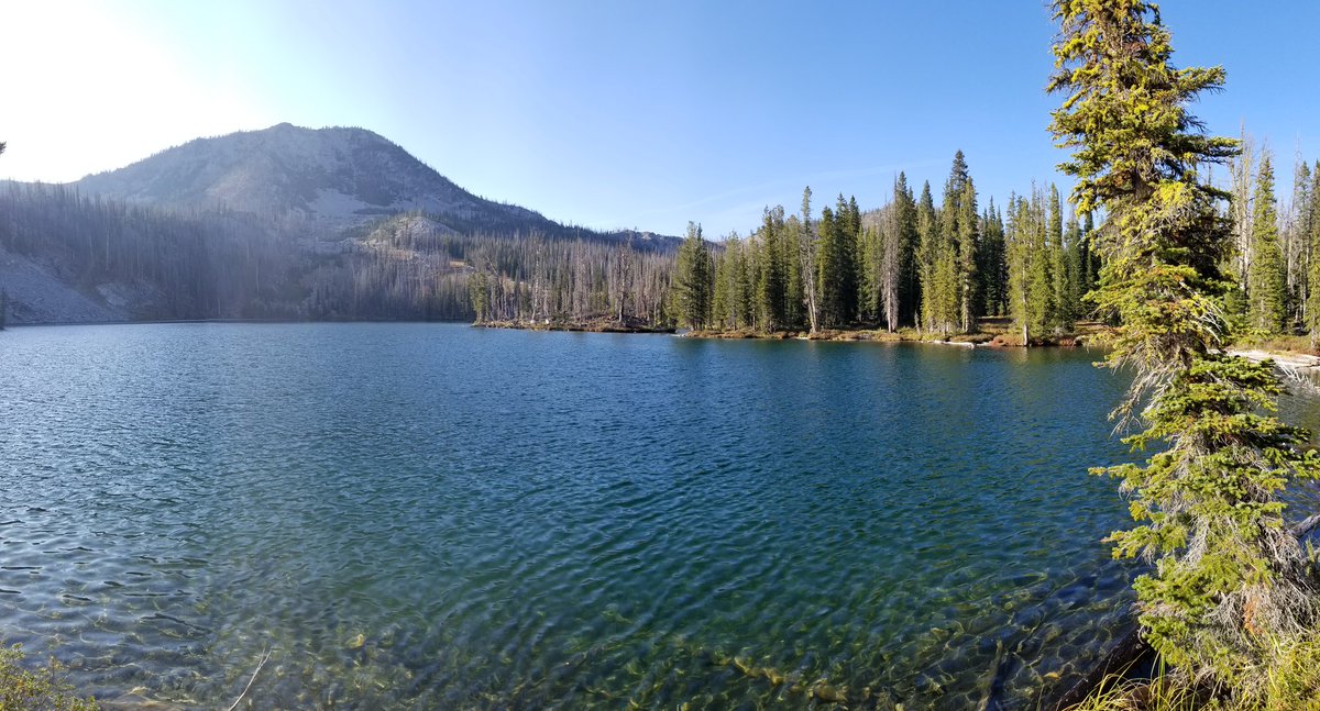 SciJerry's tweet photo. To round out the day and #MiniFieldcamp, we hiked ~7km to the fault responsible for the #AprilFoolsQuake. Ruffneck Lake is VERY low and lies in line where we suspect the fault cuts through. Is the fault draining it? (3/n) n=3 #geophysics #lastdayinthefield #trekking #geoscience https://t.co/Gt3krqzNNs