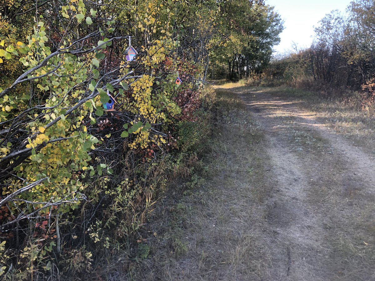 Regina Road Runners tweet media