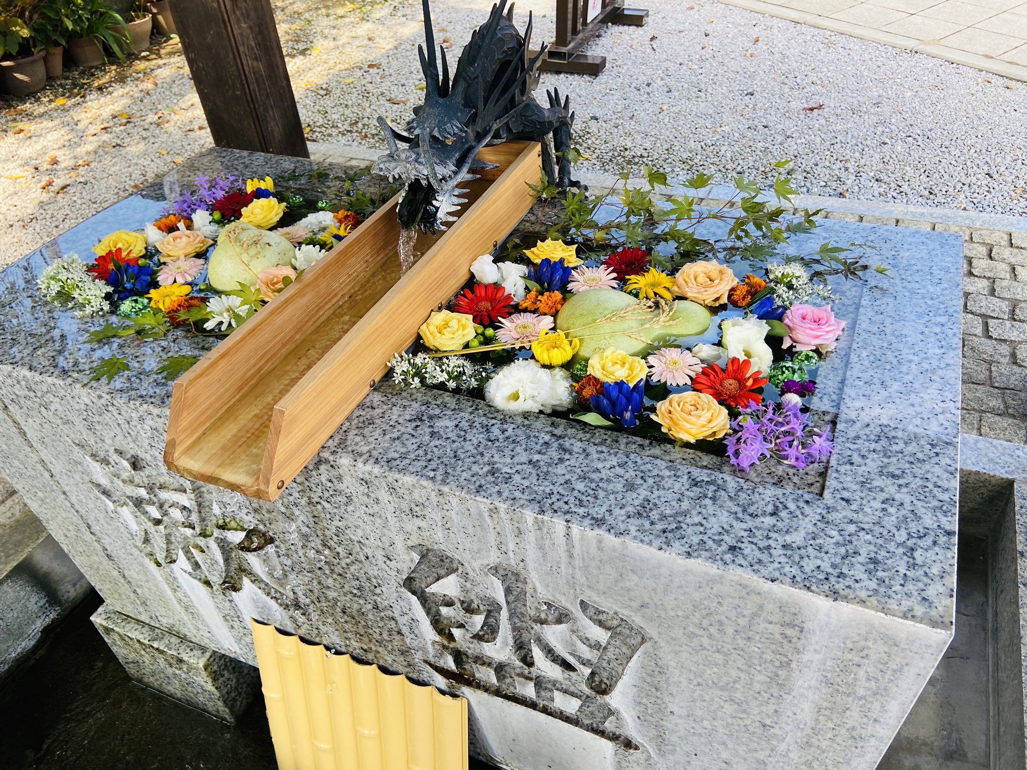 Twitter এ Kazoo 川越八幡宮の花手水 金運の稲穂 新米コシヒカリ 開運の瓢箪 そして花々が お待ちしております 川越八幡宮 川越八幡神社 花手水 花手水舎 T Co Fdmdzgsoui ট ইট র