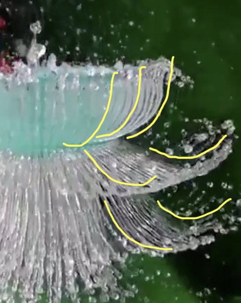 18/ The next fascinating thing is how the jets of water are curved. Why would they curve??? They don’t have lots of tensile strength like a rope, so you can’t whip them and make them curve like a rope. So *how* do they curve??