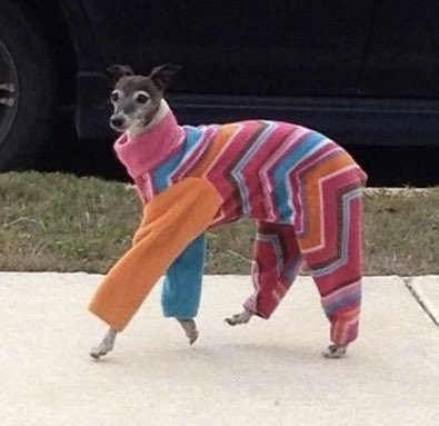 RealizingStuff's tweet photo. Me when the Beverly center reopens https://t.co/bmt46lPlFL