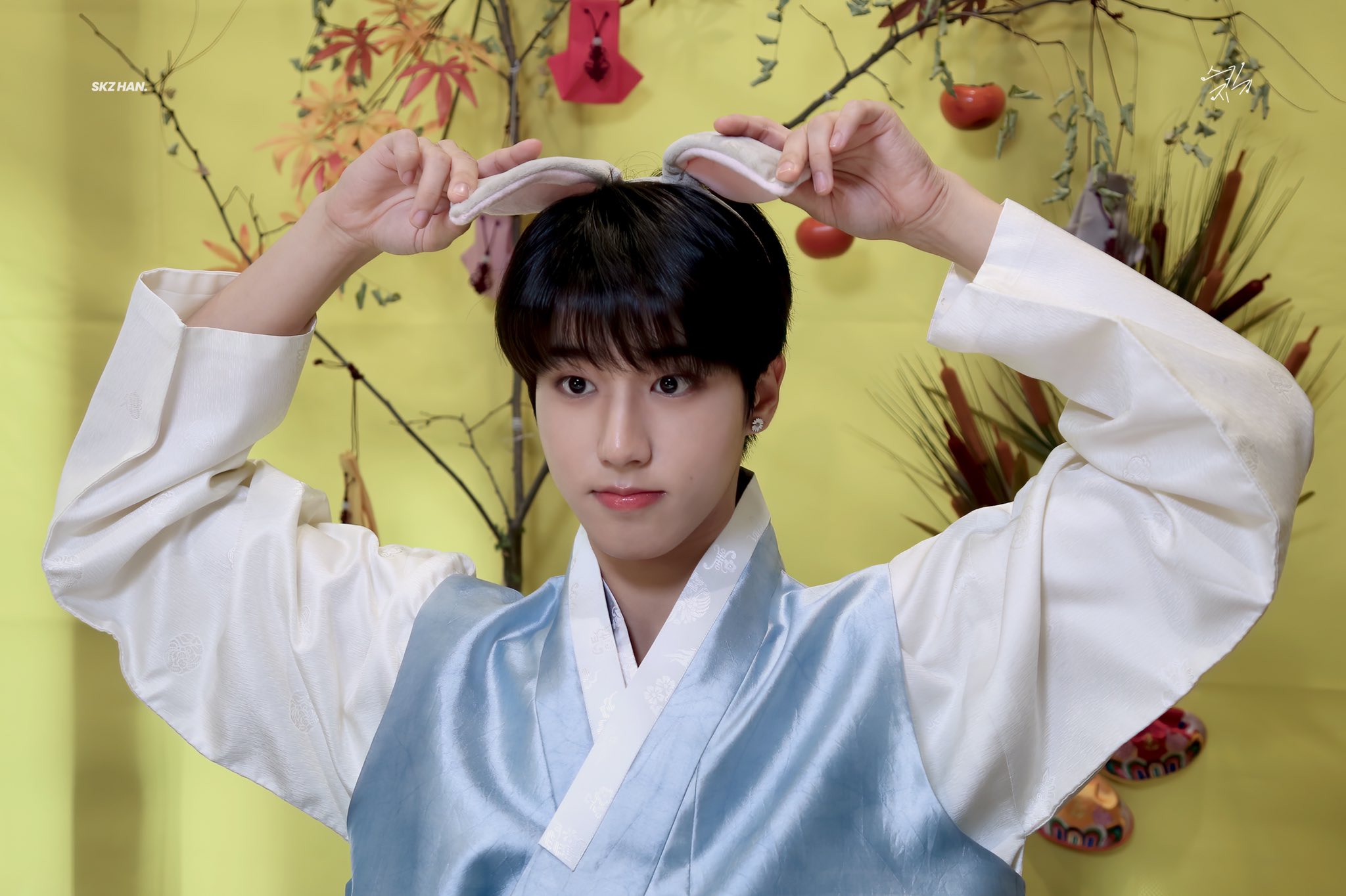 254 公式 ハン HAN IN生 with drama Stray Kids Stray Kids (스트레이 키즈) - ＜IN生＞ Mashup Video [Color