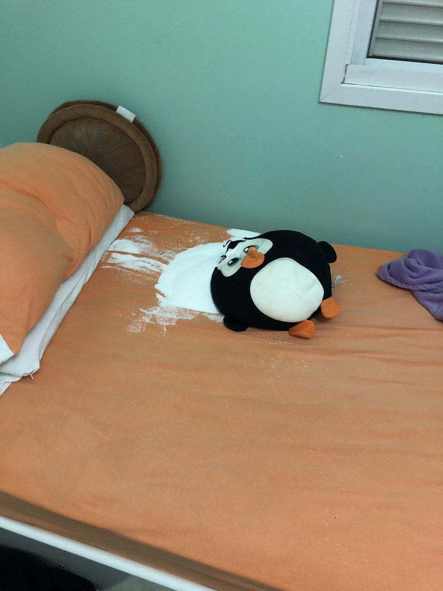 dessamoreno's tweet image. NUNCA em hipótese alguma nessa sua vida rasgue sem querer o seu FOM preferido antes de dormir por DIVERSOS motivos #devasted 2020 acaba logo!!!