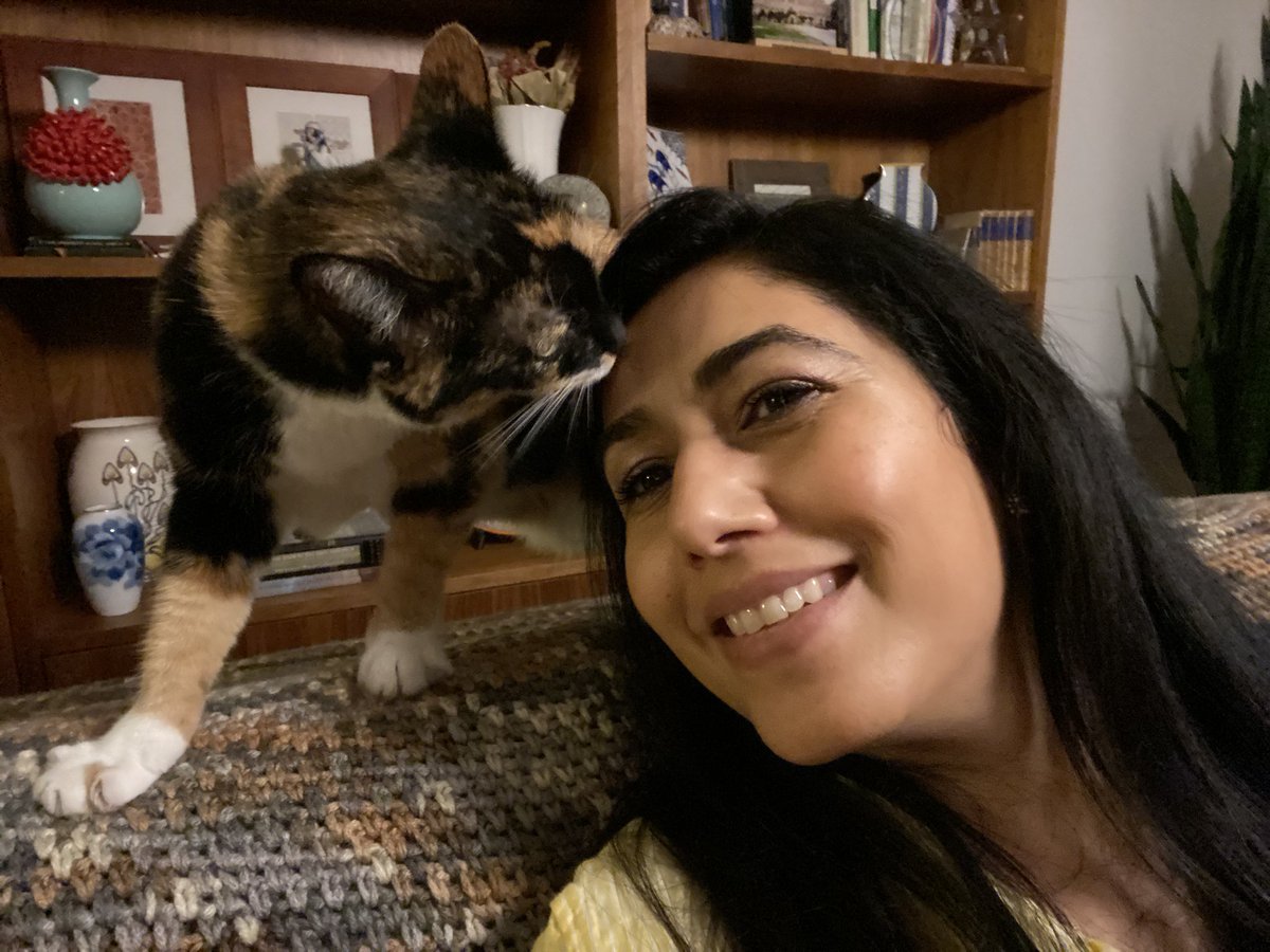 Calico cat kissing my forehead.