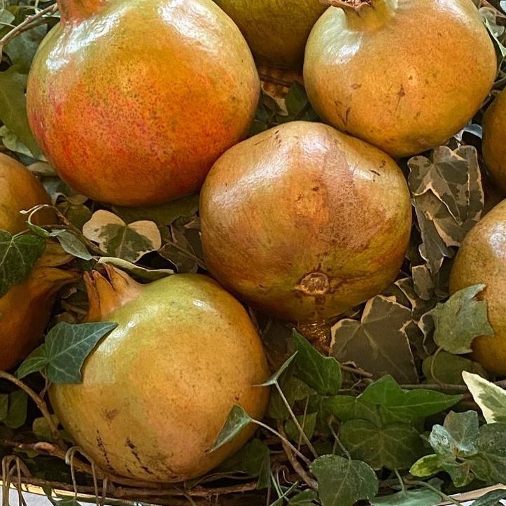 mazapanesbarros's tweet photo. Bienvenido el otoño ... 🍂🍂🍂
“El otoño es la estación más dulce, y las flores que perdemos las ganamos en frutos” - Anónimo -
#otoño #mazapanesbarroso #mazapán #marzipans #desde1890 https://t.co/FZ24m19SbQ