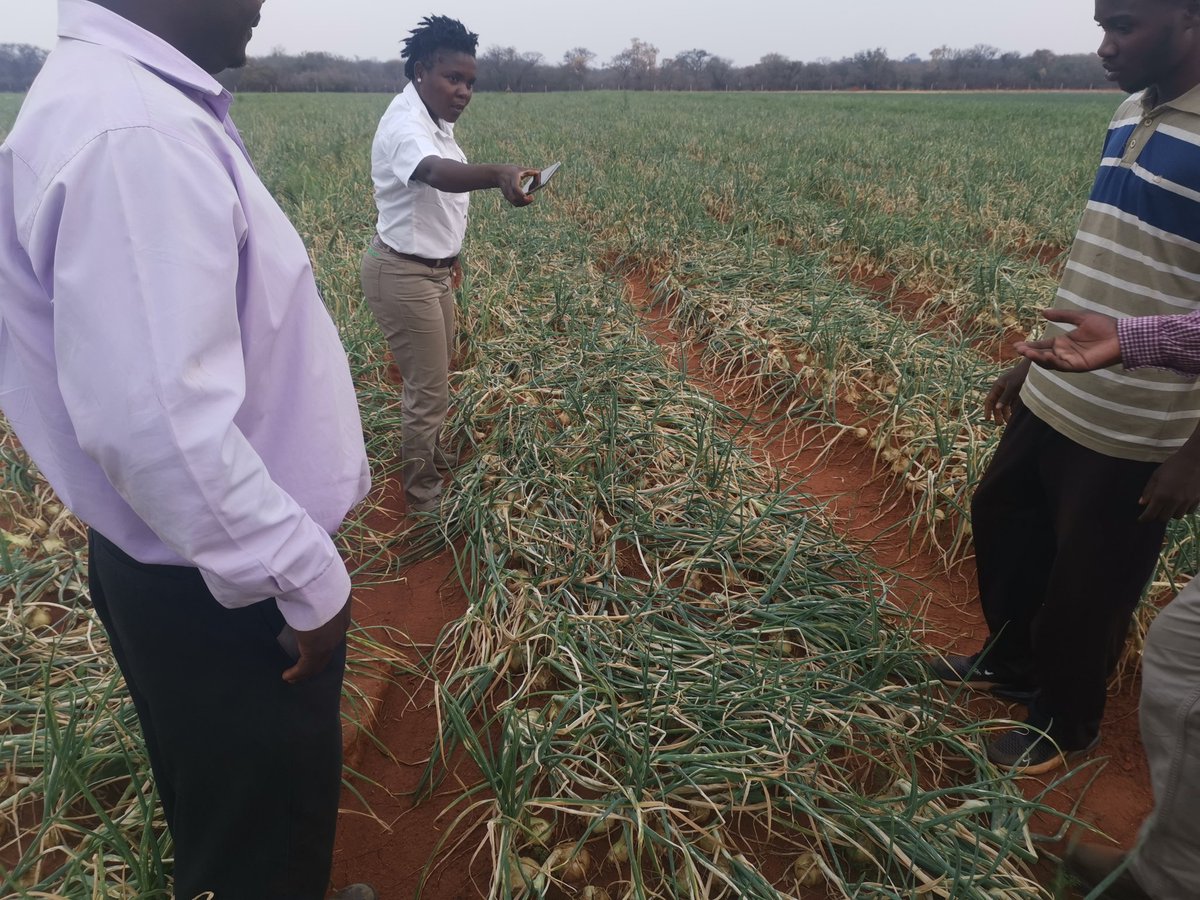 Silas Mutota tweet media