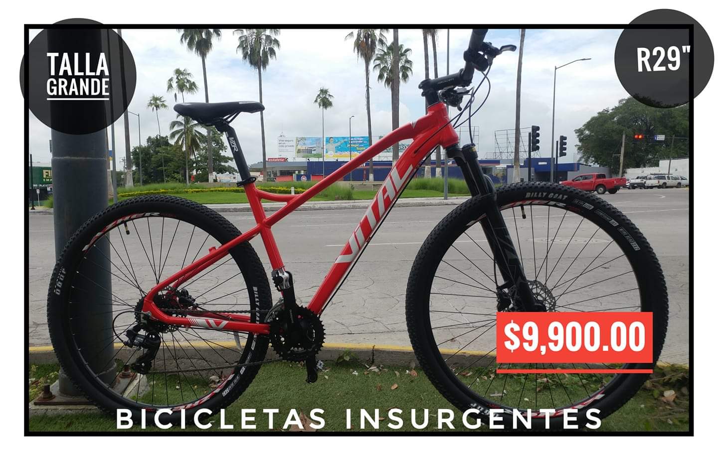 Rodado 29 que talla es new arrivals