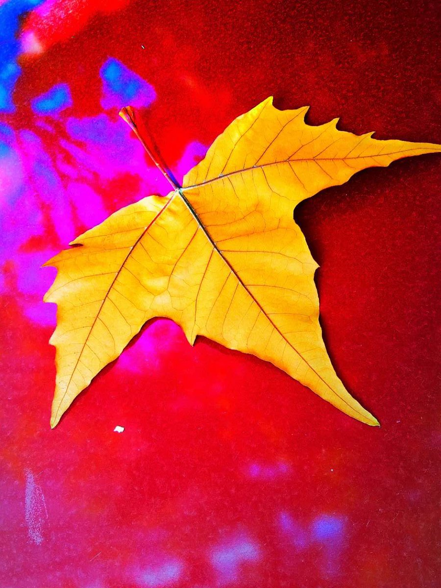 WangDaJiang2's tweet photo. 3# A city full of romantic love needs a peaceful and comfortable life, while a city living a peaceful life of men and women needs romantic love, and cities need to complement each other to maintain the entelechy and vitality of the city
#diary #novel #novels #lifestyle #CITY https://t.co/l834P2o17W