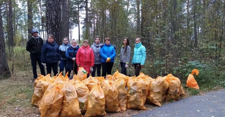 Кинешемские волонтеры очистили сосновый бор от мусора - privpravda.ru/kineshemskie-v…