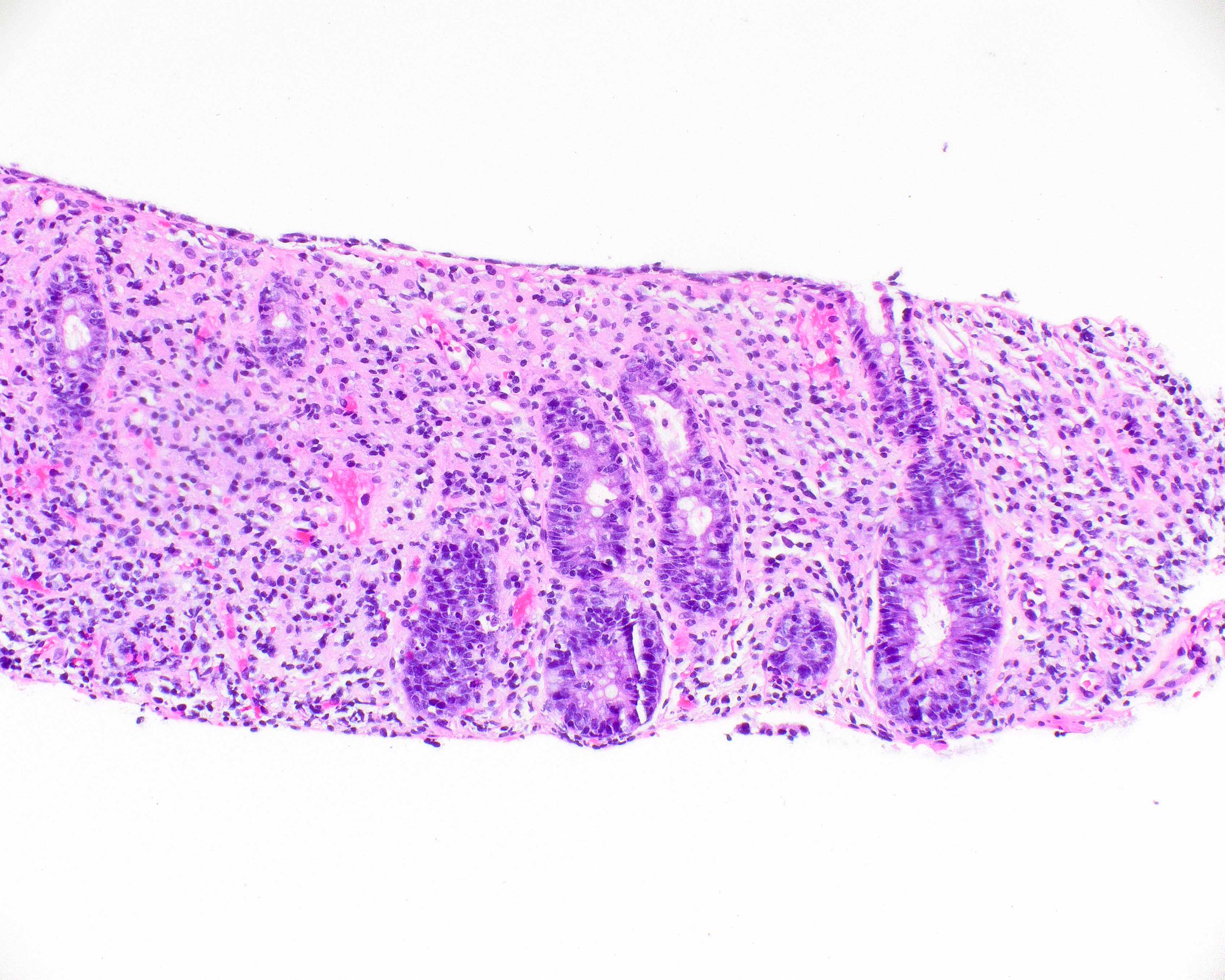 Innovative Science Press on Twitter "This is an example of the