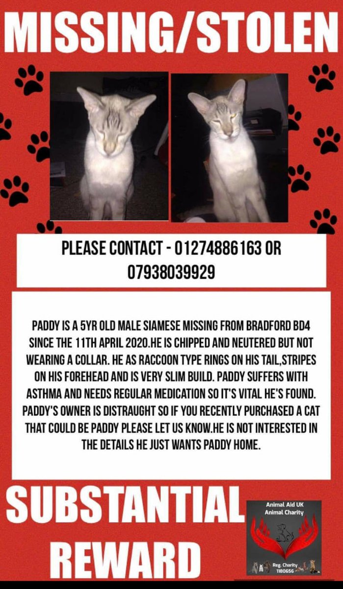 CatsMissing's tweet photo. Have You Seen Paddy❓
Know Someone Looking After Paddy❓
🙏#FindPaddy Male #LostCat Vanished 11th April 2020 #Bradford #BD4 
5 Year Old #SiameseCat 
Neutered Microchipped #ScanMe #MissingCatsUK 
⚠️Paddy Suffers From Asthma &amp; Needs Regular Medication⚠️
FB▶️https://t.co/eCUDRC89rh https://t.co/WjW9pFAHZQ
