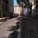 Bild/Foto