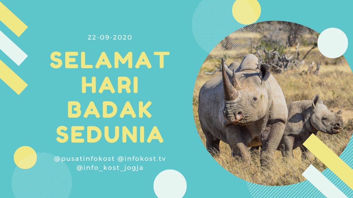 Selamat hari badak sedunia! 
#haribadak #haribadaksedunia