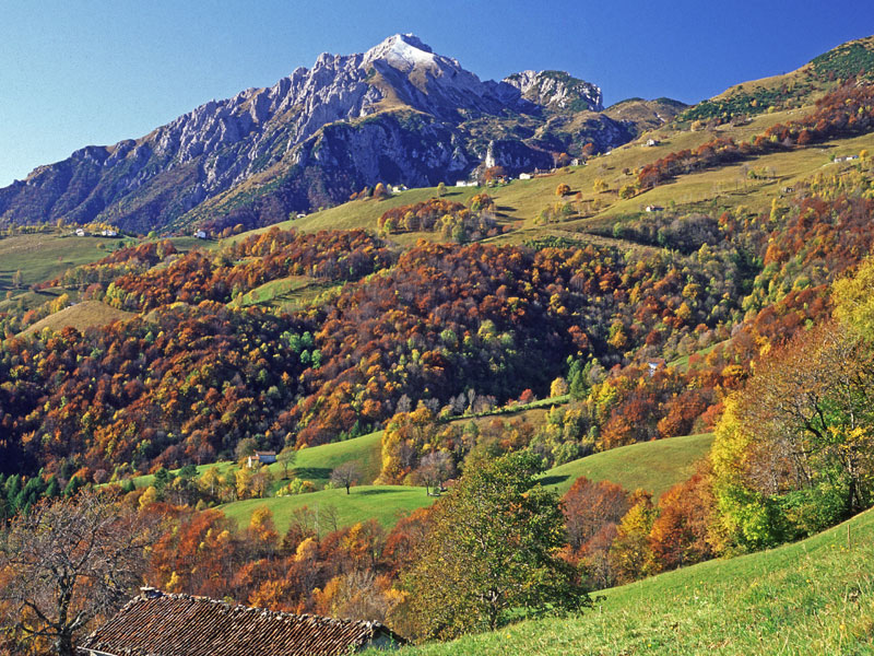 #SiCelebraOggi l'equinozio di autunno 🍂
Le nostre montagne si colorano di sfumature calde ed è bello passeggiare e sentire il rumore delle foglie appena cadute.

#LeViedelViandante #LakeComo #lagodicomo #equinoziodautunno #22settembre #natura #Foliage 

(foto <a href="/parcogrigna/">Parco Reg Grigna Set</a>)