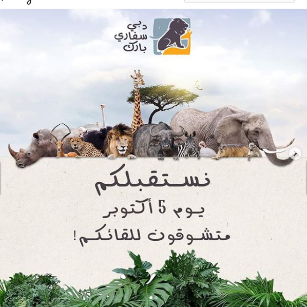 saudis_n_world's tweet photo. تستقبل #سفاري_دبي_بارك زوارها يوم الاثنين 5 أكتوبر بعد الانتهاء من عمليات التجديد الشاملة
-تضم الحديقة 3 قرى:
القرية الأفريقية-قرية المستكشف-القرية الآسيوية
بالإضافة إلى جولة سفاري الصحراء
-تحتضن أكثر من 3000 حيوان من جميع أنحاء العالم 
يومياً من 9 ص إلى 5 عصراً
50درهم و20 للصغار https://t.co/riApC9yrx4