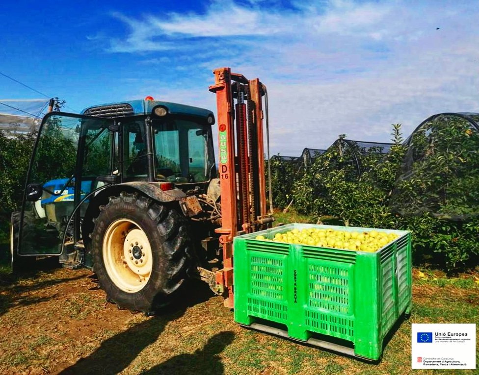 pomadegirona's tweet photo. 🔝 A Poma de Girona ja hem començat a collir la GOLDEN🍏🍏🚜👨‍🌾👨🏾‍🌾
. 
#pomes
#apples #manzanas #pommes #gironacostabrava #baixemporda
#altemporda
#Girona https://t.co/Dr1e7YojAl