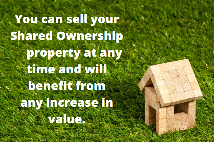 Alliance Homes Development and Sales tweet media