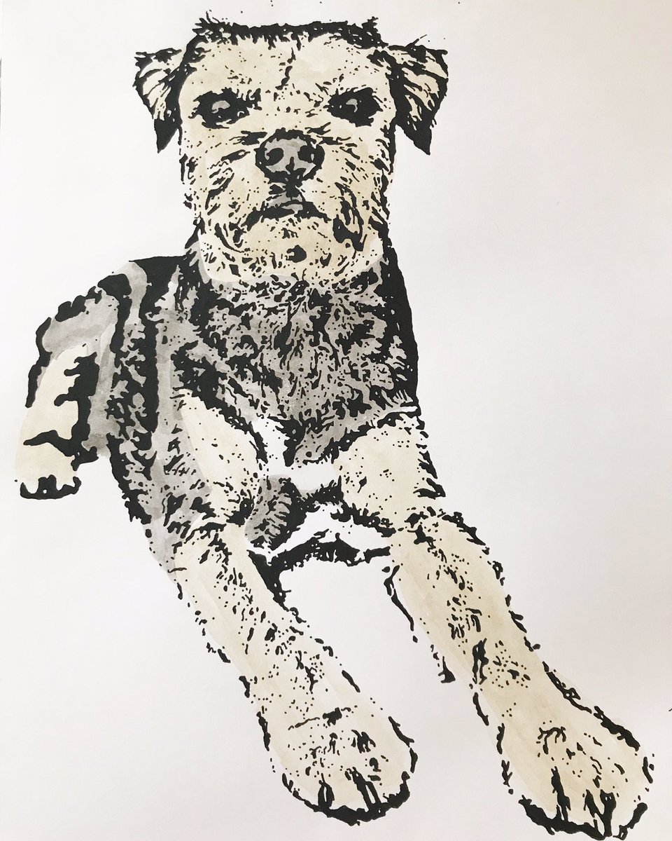 lucymorleyfine1's tweet photo. Gorgeous Murphy❤️

Leaving gift for a special someone☺️

#fineart #art #illustration #drawing #painting #watercolour #mixedmedia #mixedmediaart #sherborne #dorset #animalportrait #animalart #dog #puppy #murphy #terrier #leaving #gift #leavinggift #artistsontwitter #newartist https://t.co/82hbMmVcEz