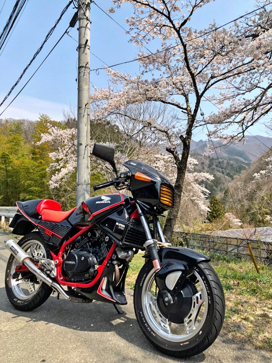 vt250z エアロシャーク VT250Z.FE BEETエアロシャーク BEET ビート エアロシャークF. ホワイト