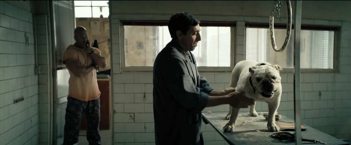 включи догмен