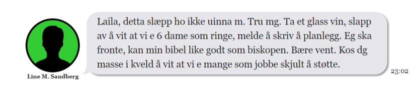 Det er helt uforståelig for meg hvor lite fokus pressen har hatt på avsløringene om et nettverk av mektige politikere og rasistbloggere der statssekretærer skriver om "mange som jobber skjult".